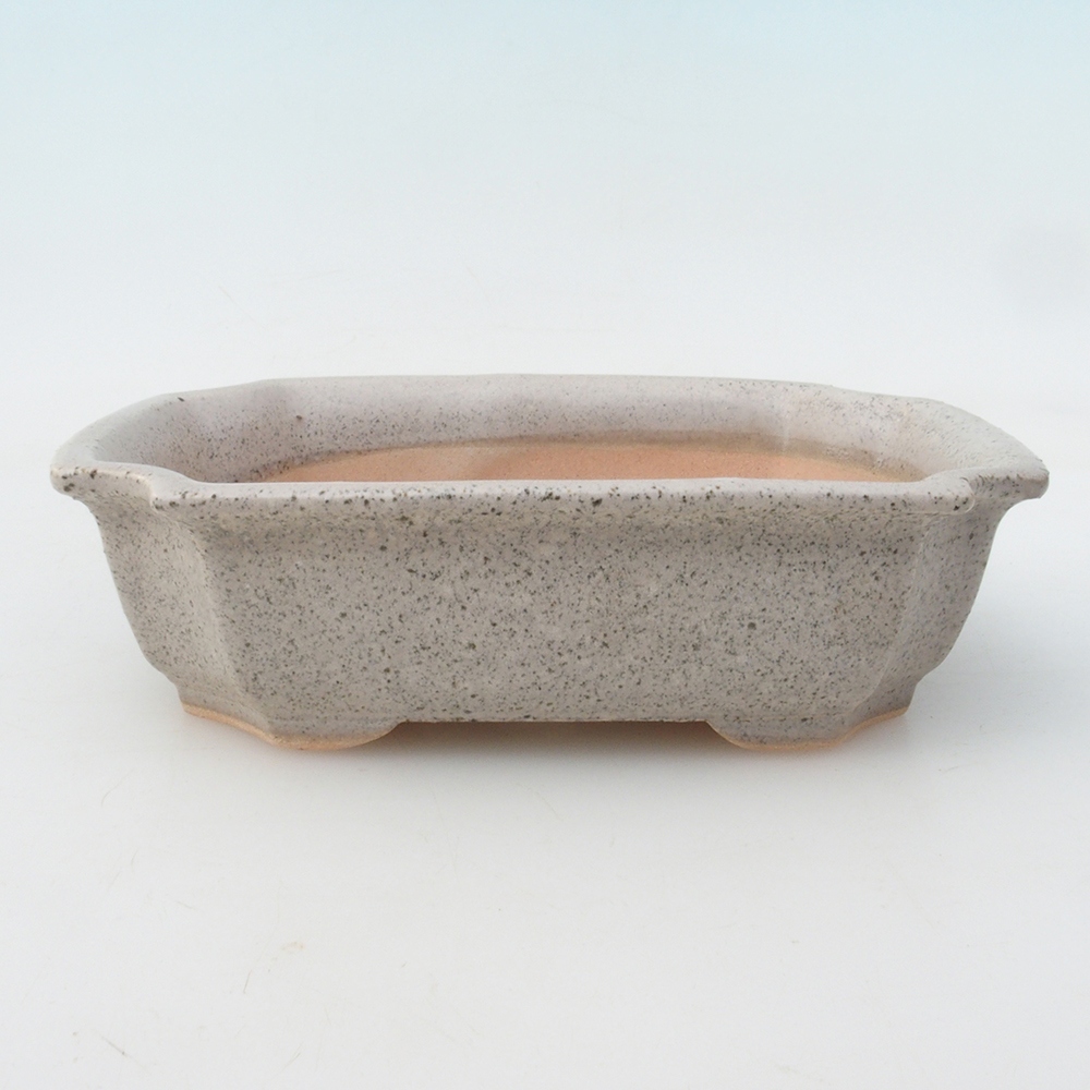 Ciotola per bonsai H17 - 15 x 10 x 4 cm.