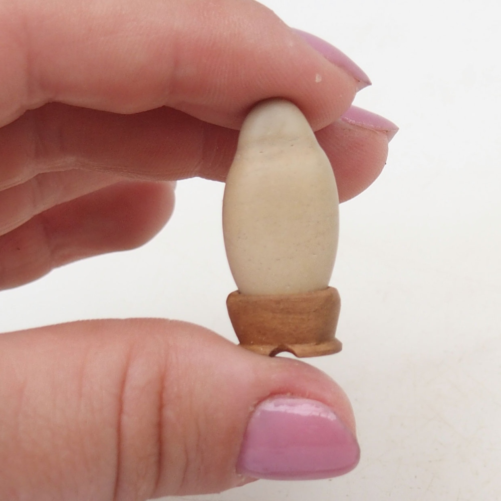 Suiseki - Pietra con DAI (base in legno)