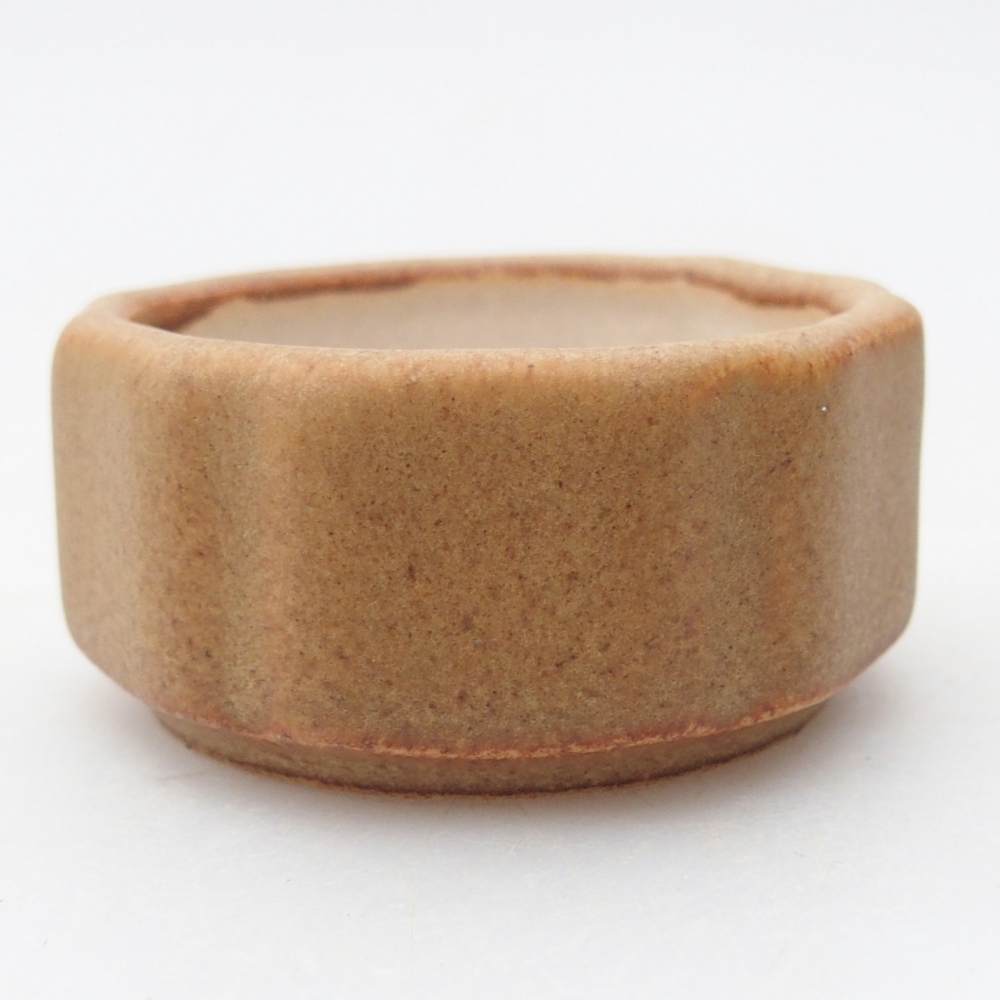 Mini bonsai 4,5 x 4,5 x 2,5 cm, marrone