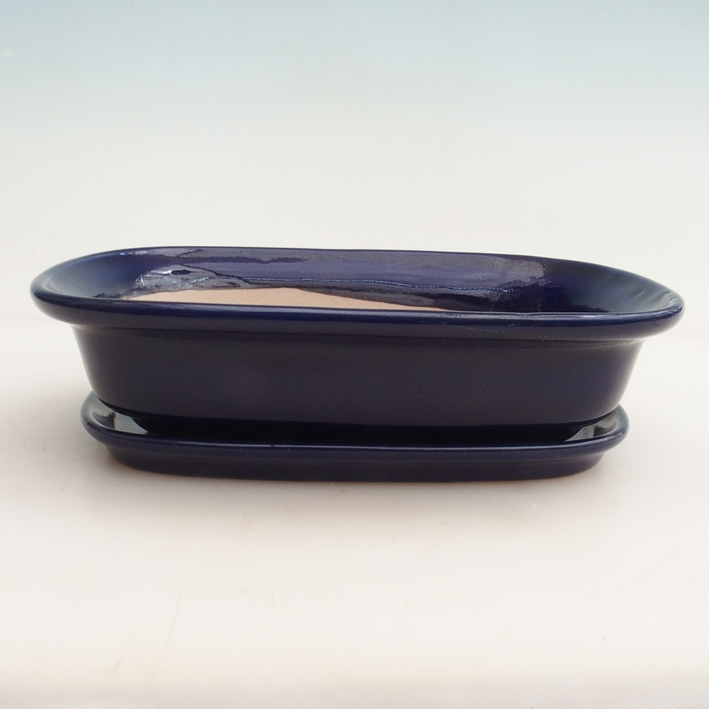 Ciotola bonsai + piattino H25 - 23 x 17 x 5,5 cm - blu