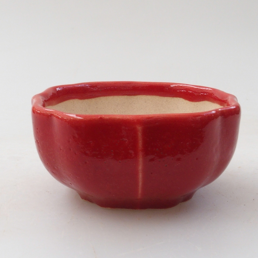 Mini bonsai 6 x 5,5 x 2,5 cm, colore rosso