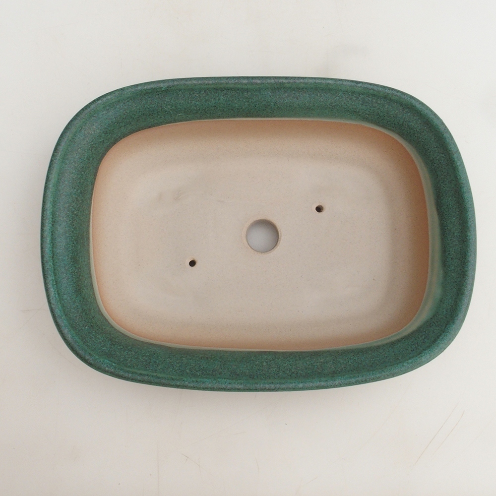 Ciotola per bonsai H25 - 23 x 17 x 5,5 cm - verde