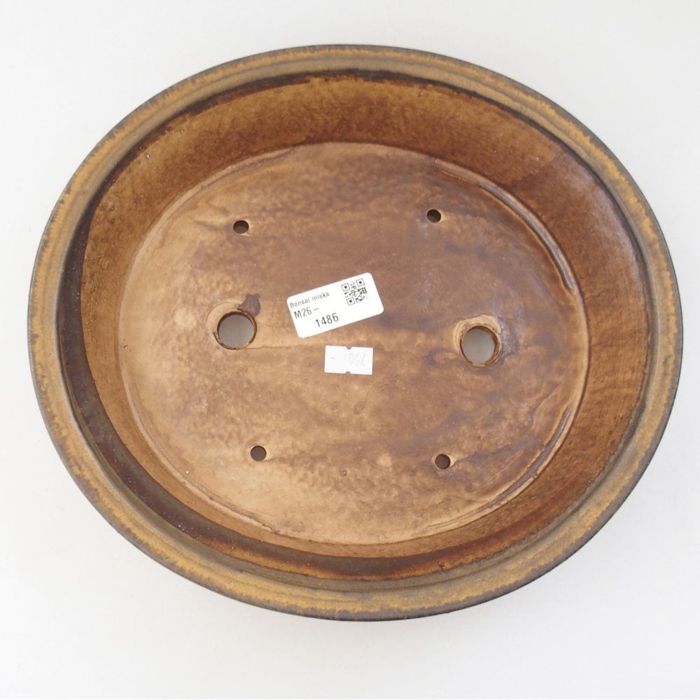 Ciotola per bonsai in ceramica 27 x 24 x 6 cm, marrone