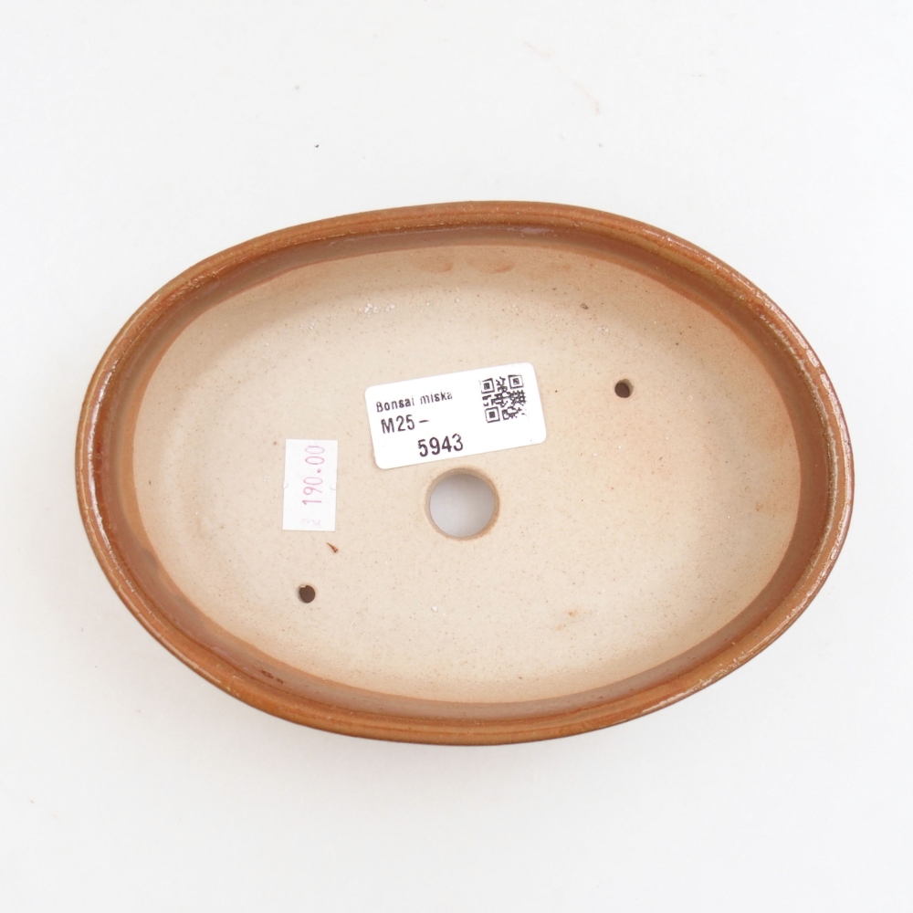 Ciotola bonsai in ceramica 22 x 17 x 5 cm, verde