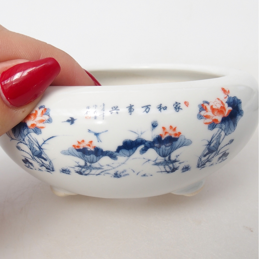 Ciotola per bonsai in ceramica 10 x 10 x 5 cm, colore bianco