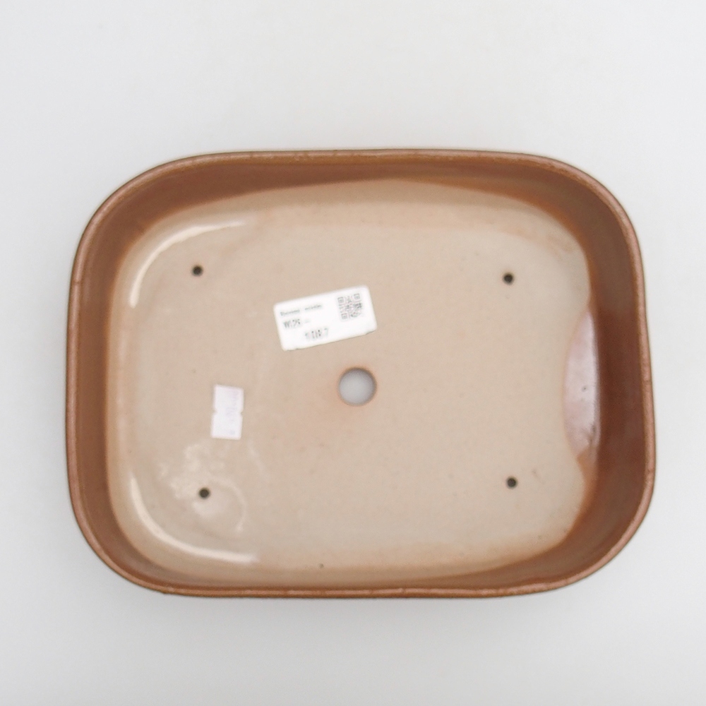 Ciotola bonsai in ceramica 23 x 18,5 x 5,5 cm, marrone