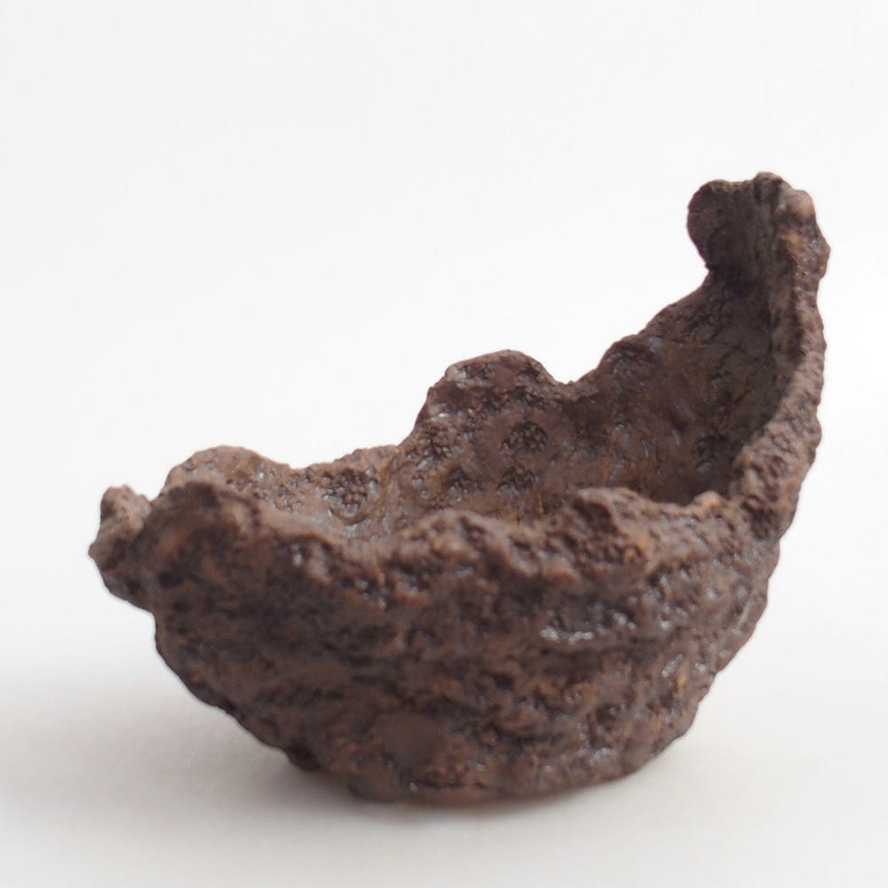 Conchiglia in ceramica 14 x 12 x 13 cm , colore marrone