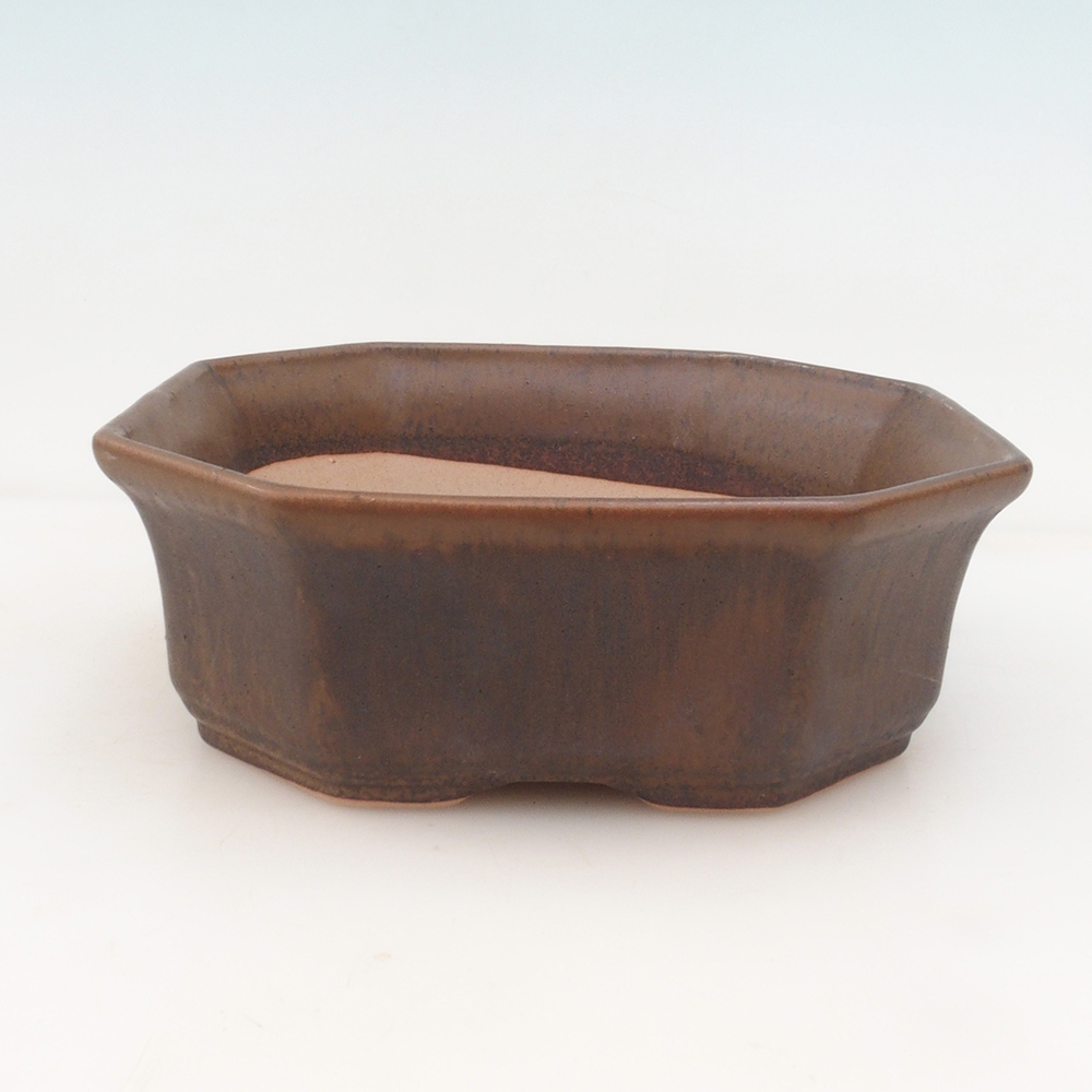 Ciotola per bonsai H14 - 17,5 x 17,5 x 6 - marrone