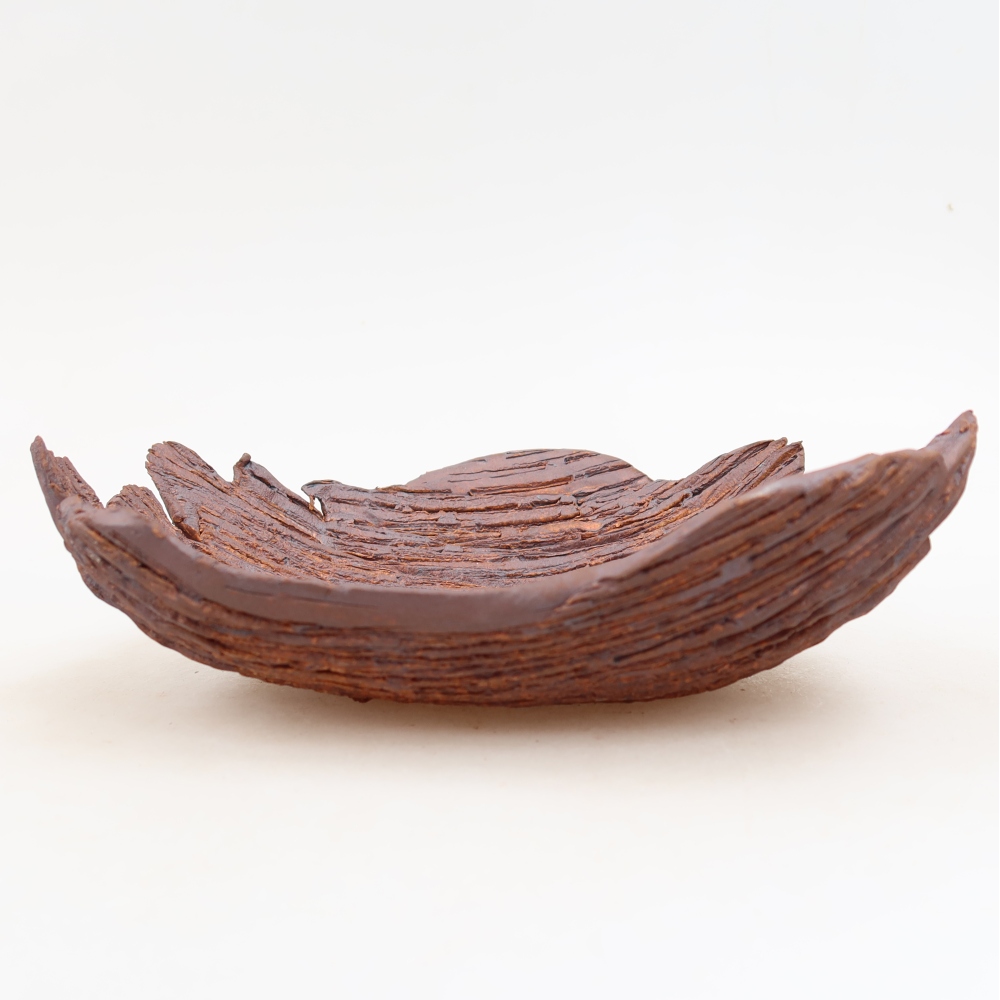 Conchiglia in ceramica  20 x 15,5 x 6 cm, colore marrone