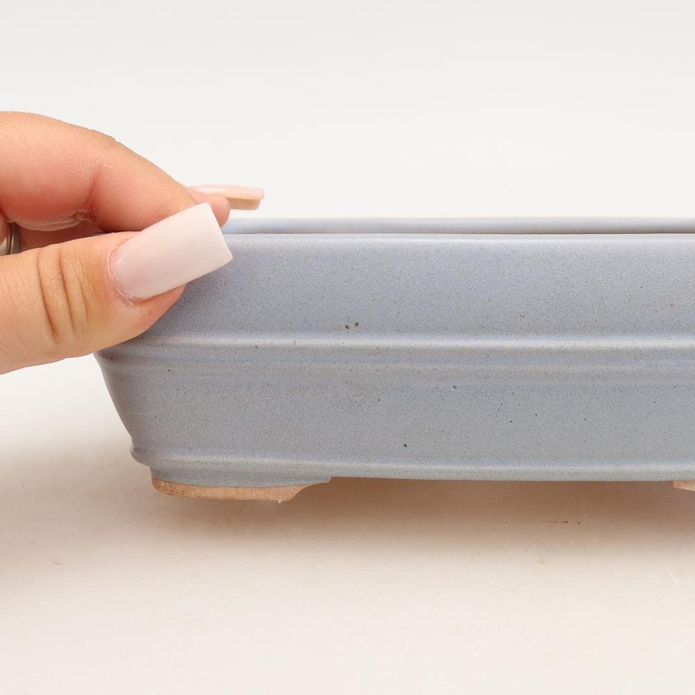 Vaso da bonsai in ceramica 17 x 12,5 x 5,5 cm, colore blu