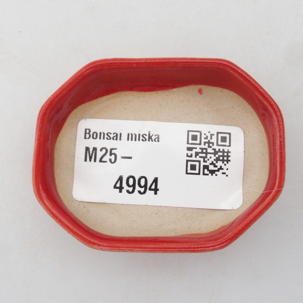 Mini bonsai 5,5 x 4 x 1,5 cm, colore rosso