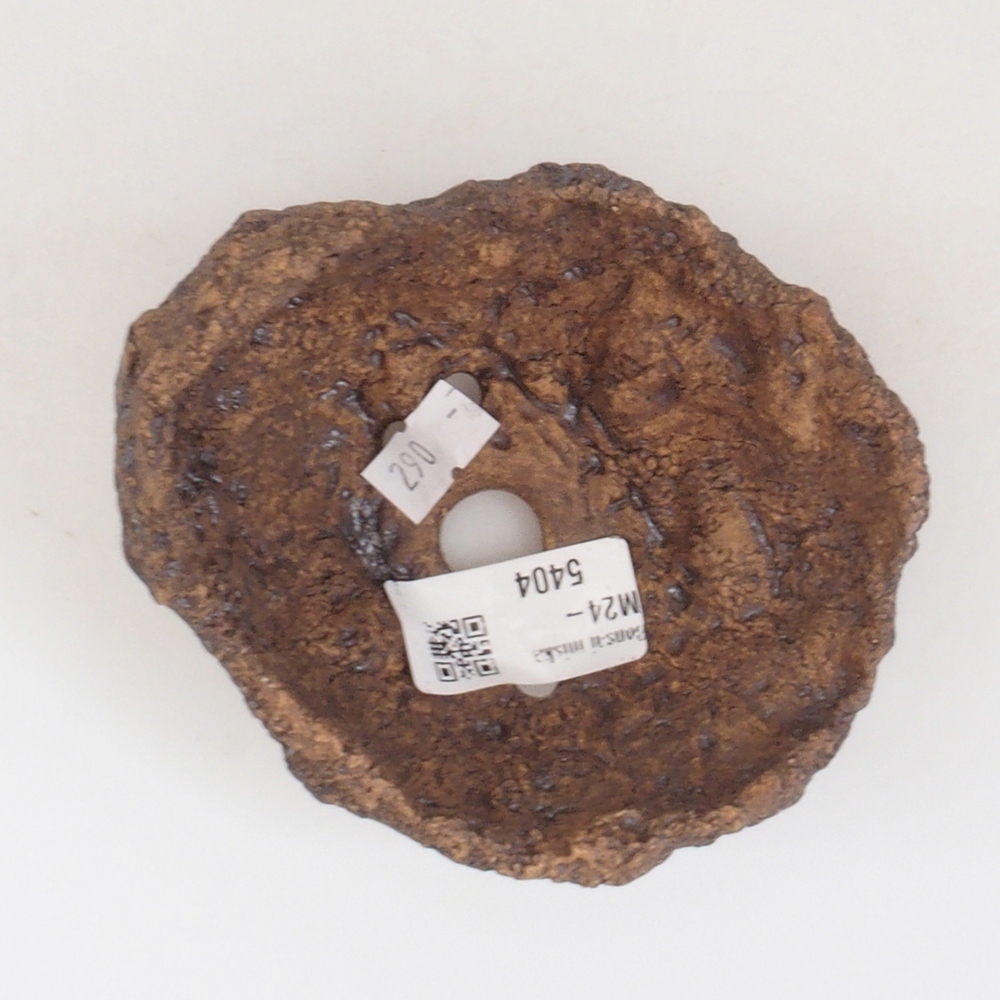 Conchiglia in ceramica 10 x 8 x 10 cm , colore marrone