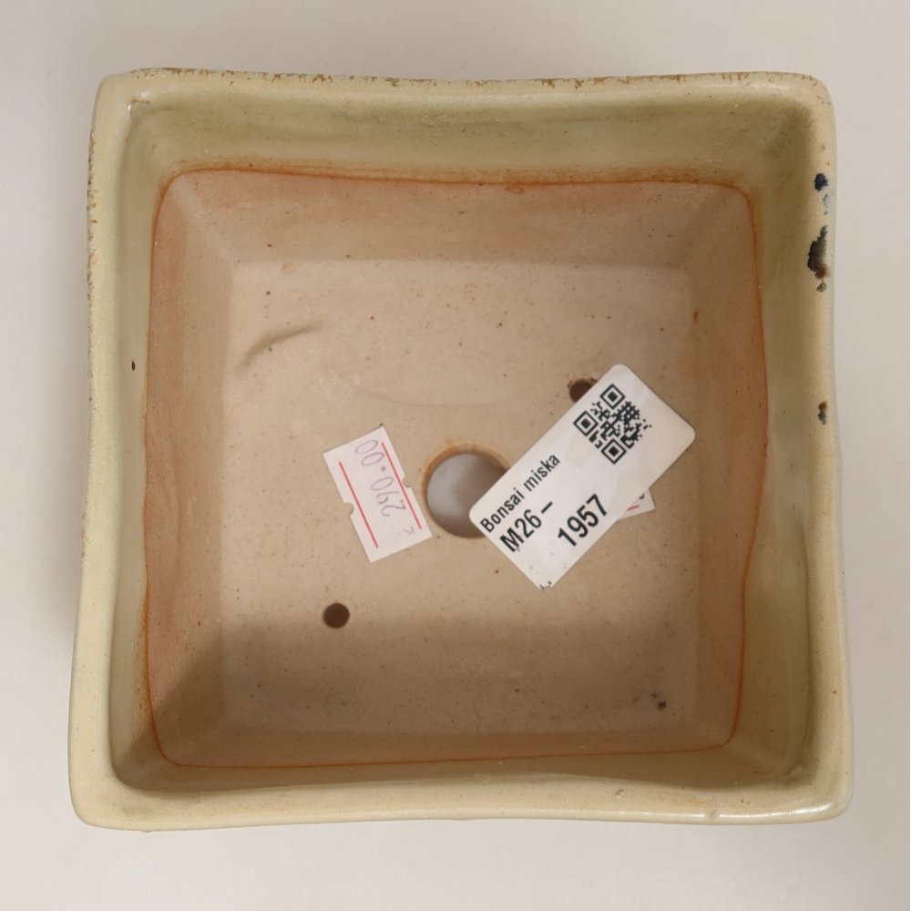 Ciotola per bonsai in ceramica 10,5 x 10,5 x 6,5 cm, verde