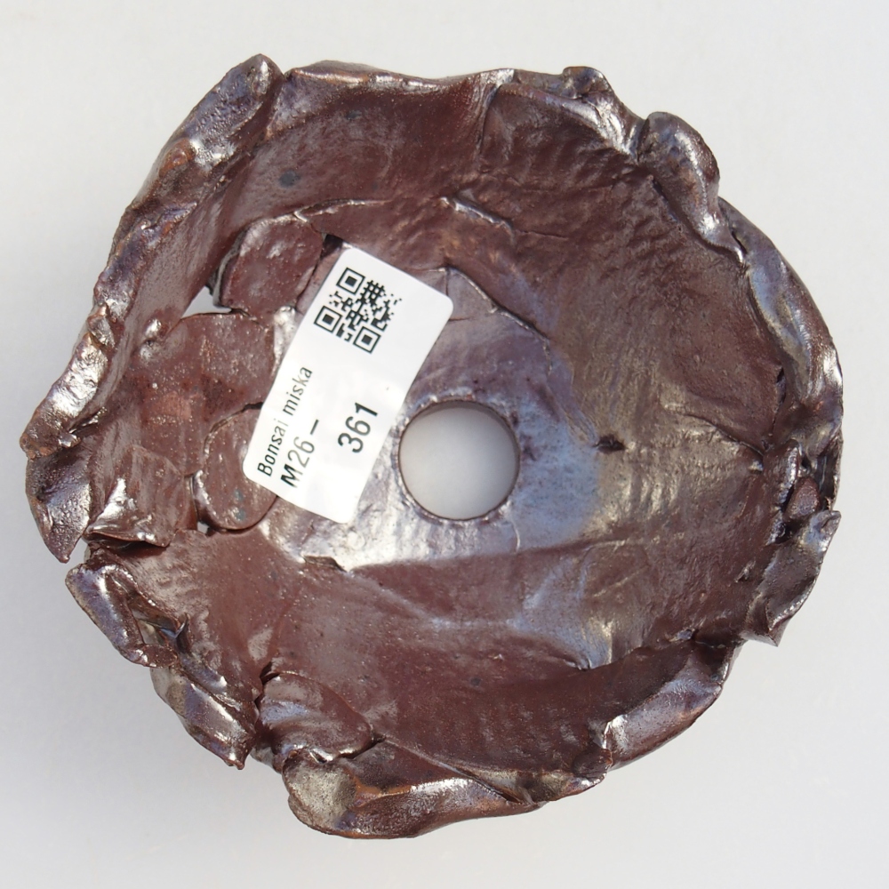 Conchiglia in ceramica 10 x 10,5 x 5,5 cm , colore marrone