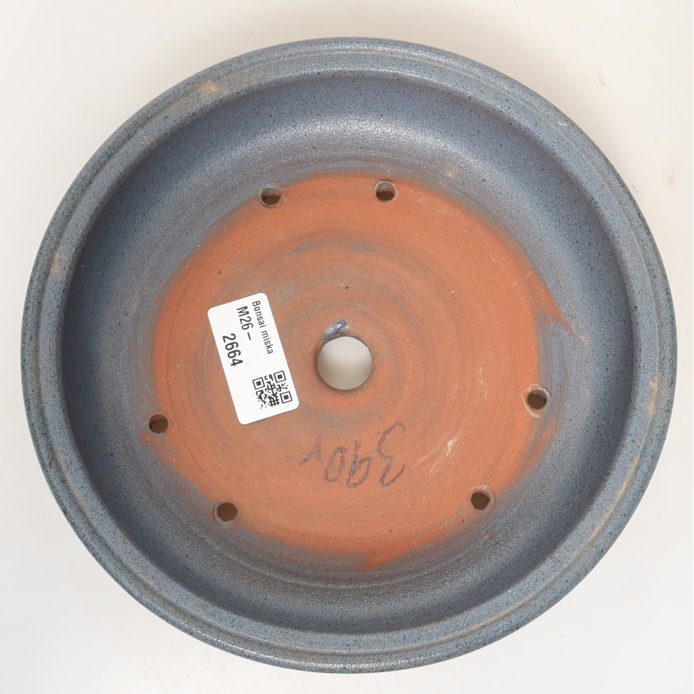 Guscio in ceramica  19,5 x 19,5 x 5 cm, colore blu