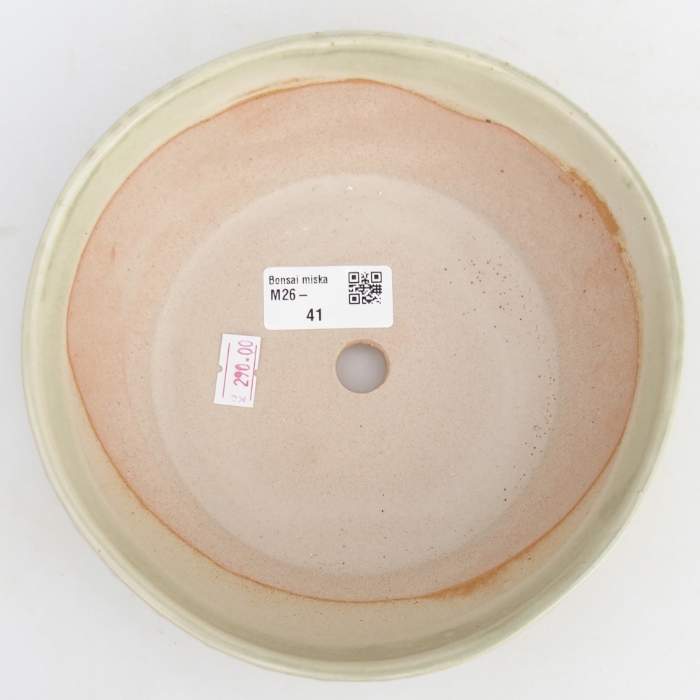 Ciotola per bonsai in ceramica 18 x 18 x 5,5 cm, verde