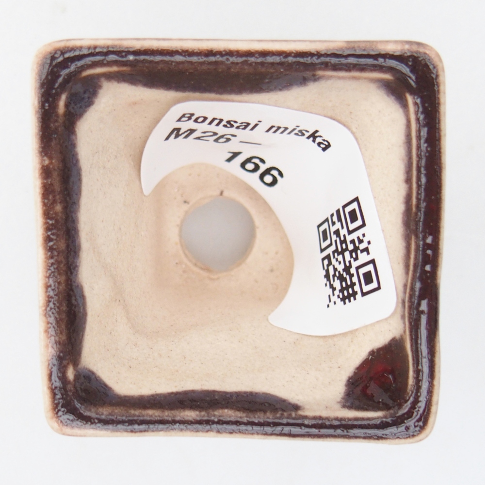 Ciotola per mini bonsai 4 x 4 x 3,5 cm, marrone