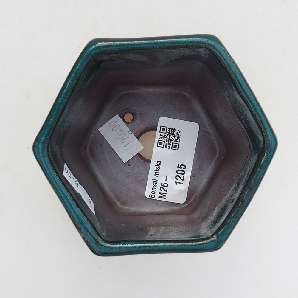 Ciotola per bonsai in ceramica 9 x 9 x 8 cm, verde