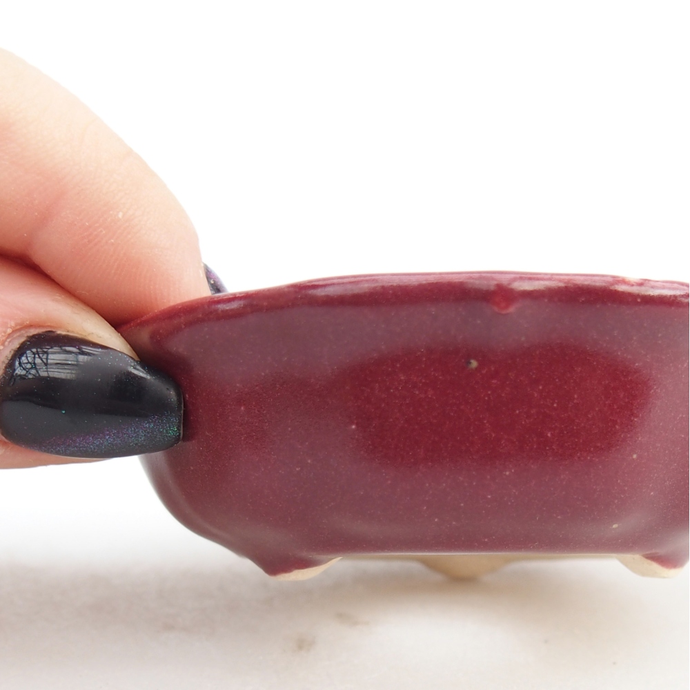 Mini bonsai 7,5 x 7,5 x 2,5 cm, bordeaux