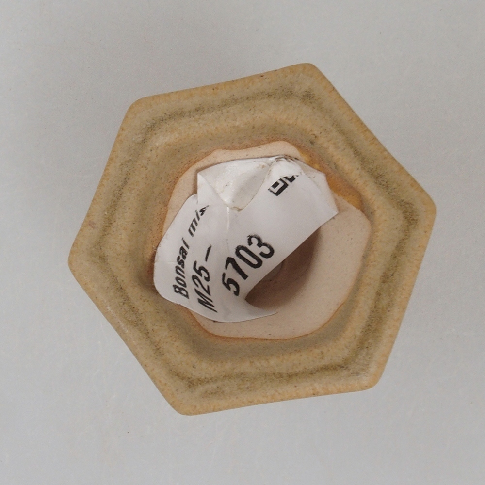 Ciotola per mini bonsai 4 x 3,5 x 3 cm, marrone