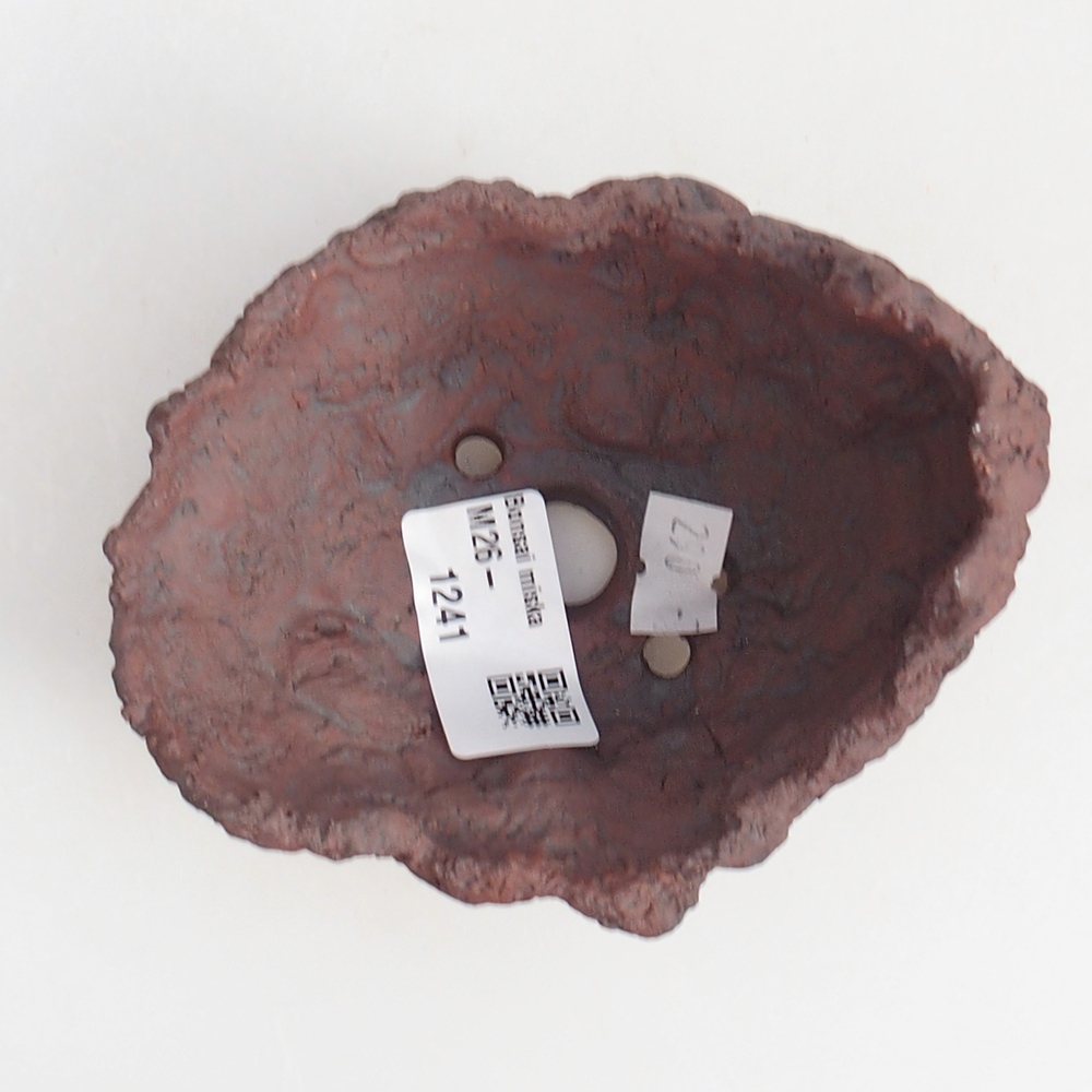 Conchiglia in ceramica 10 x 8 x 8,5 cm , colore marrone