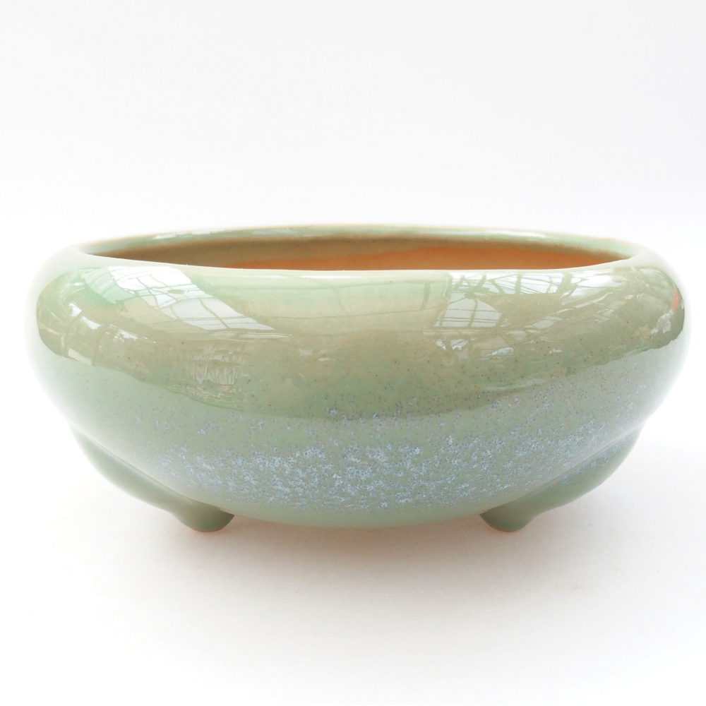 Ciotola bonsai in ceramica 22 x 17 x 5 cm, verde