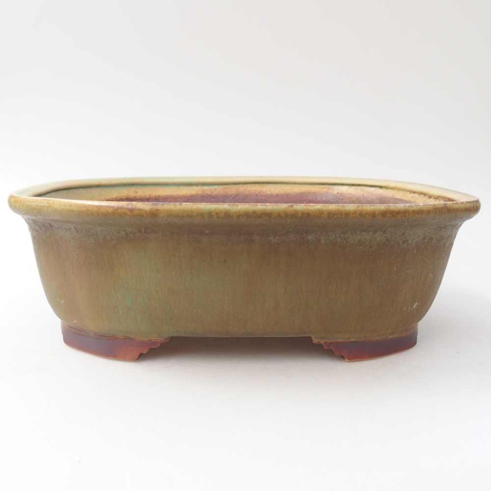 Ciotola per bonsai in ceramica 25 x 21 x 8 cm, verde