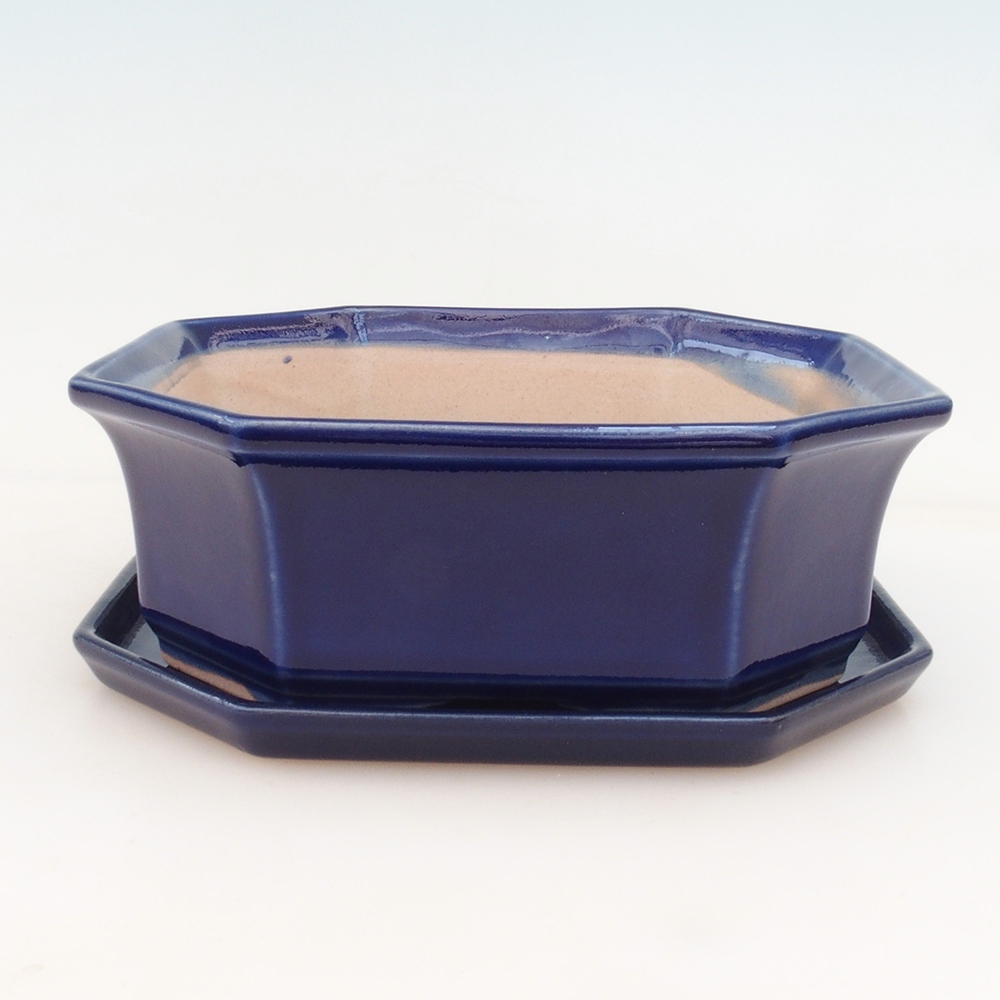 Ciotola bonsai + piattino H14 - blu