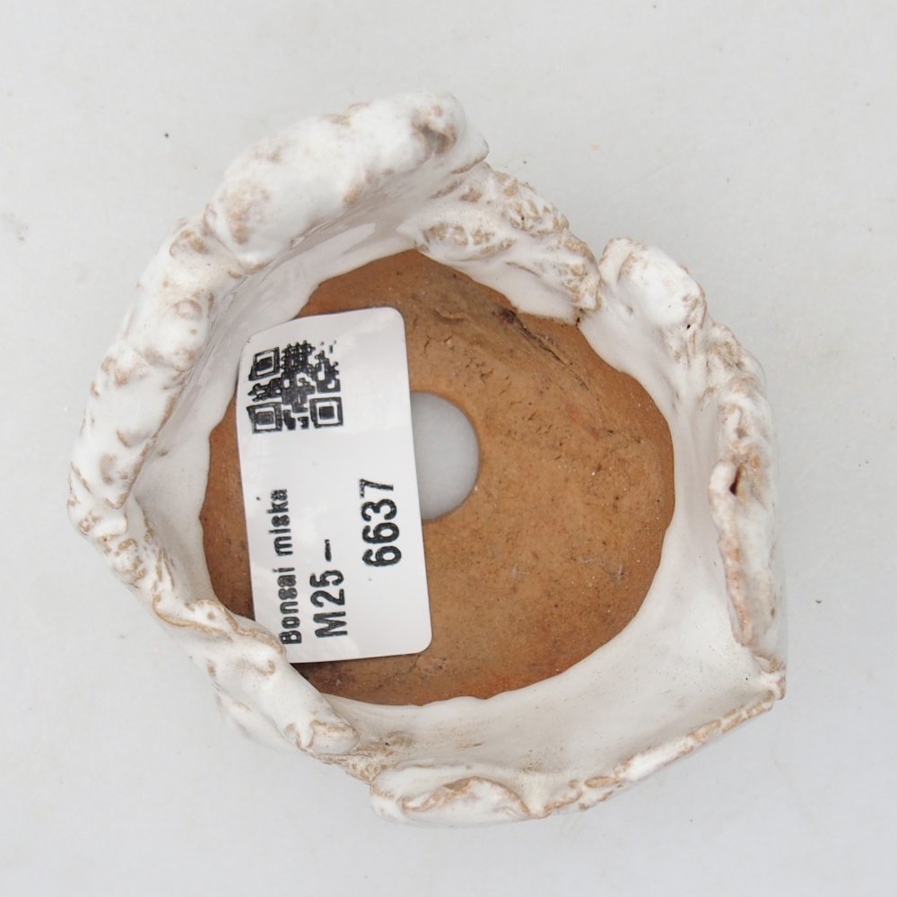 Conchiglia in ceramica 7 x 6,5 x 5 cm , colore bianco