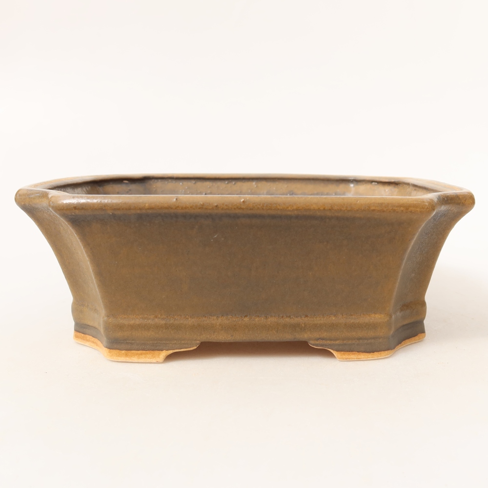 Ciotola per bonsai in ceramica 18 x 15 x 6 cm, marrone