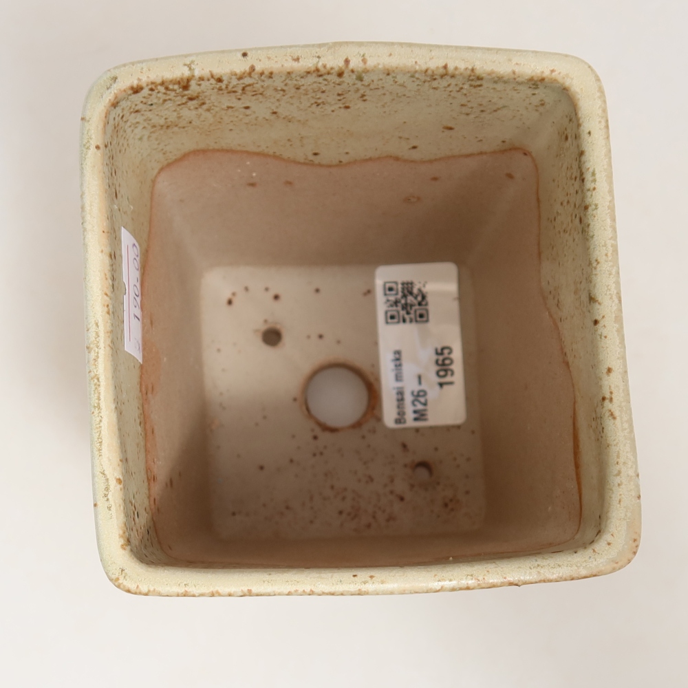 Ciotola per bonsai in ceramica 9 x 9 x 11 cm, verde