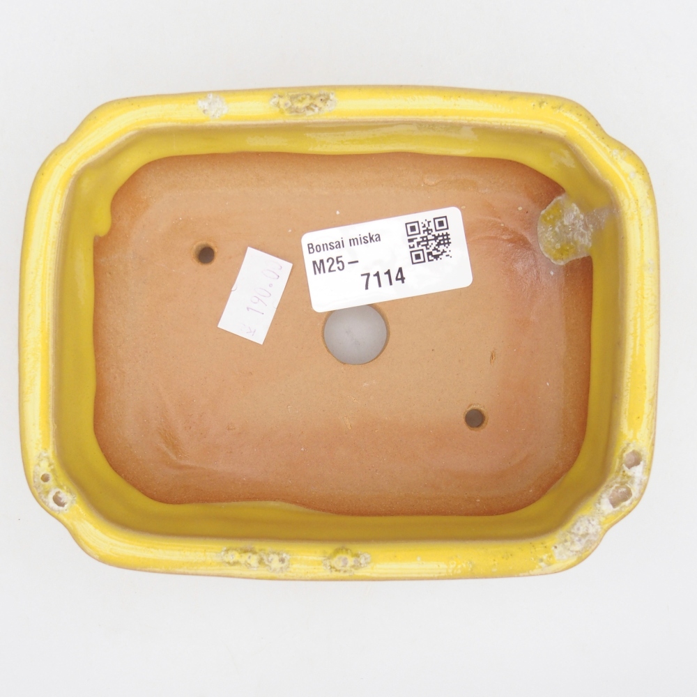 Ciotola bonsai in ceramica 26 x 26 x 8 cm, colore rosso