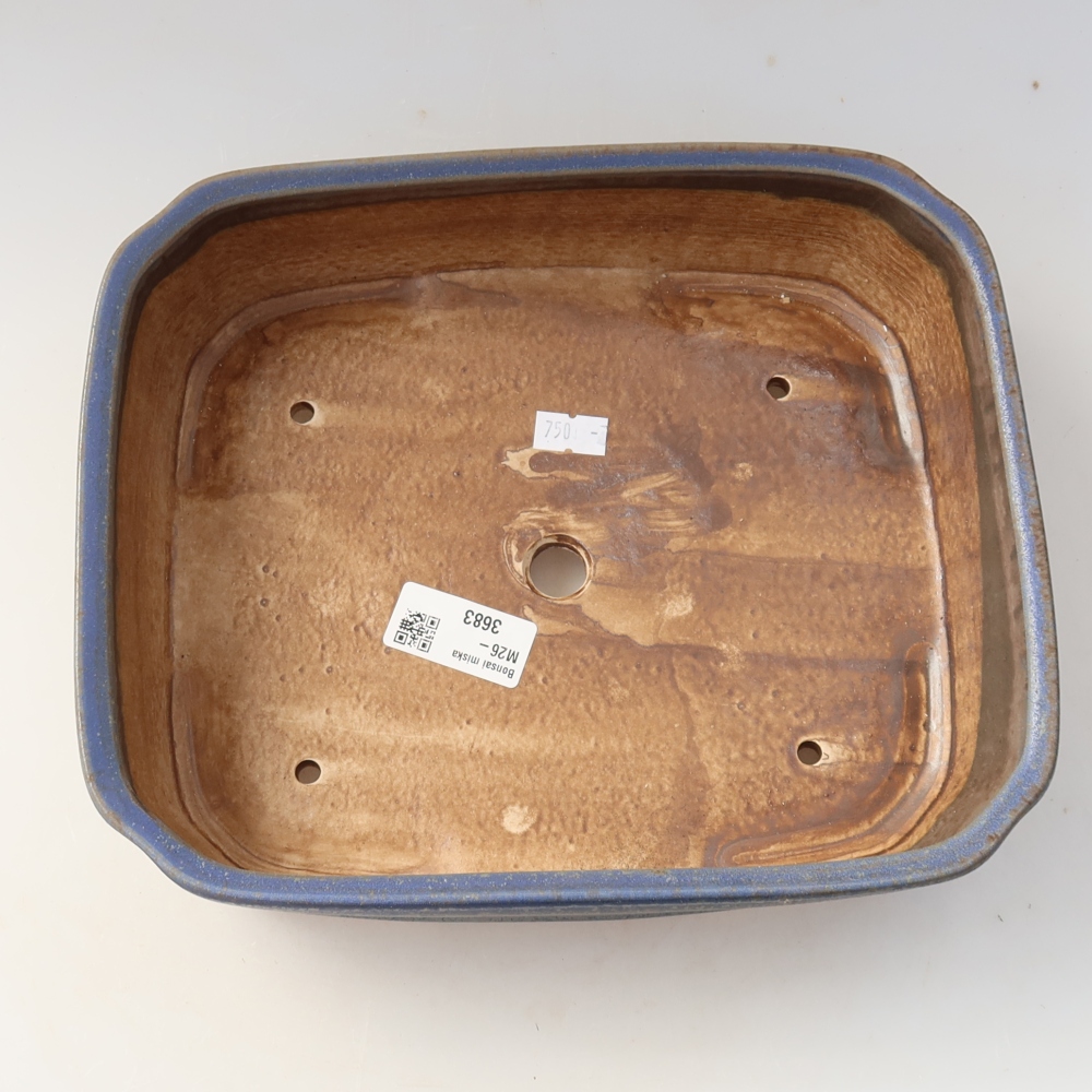 Vaso da bonsai in ceramica 25 x 21 x 6,5 cm, colore blu