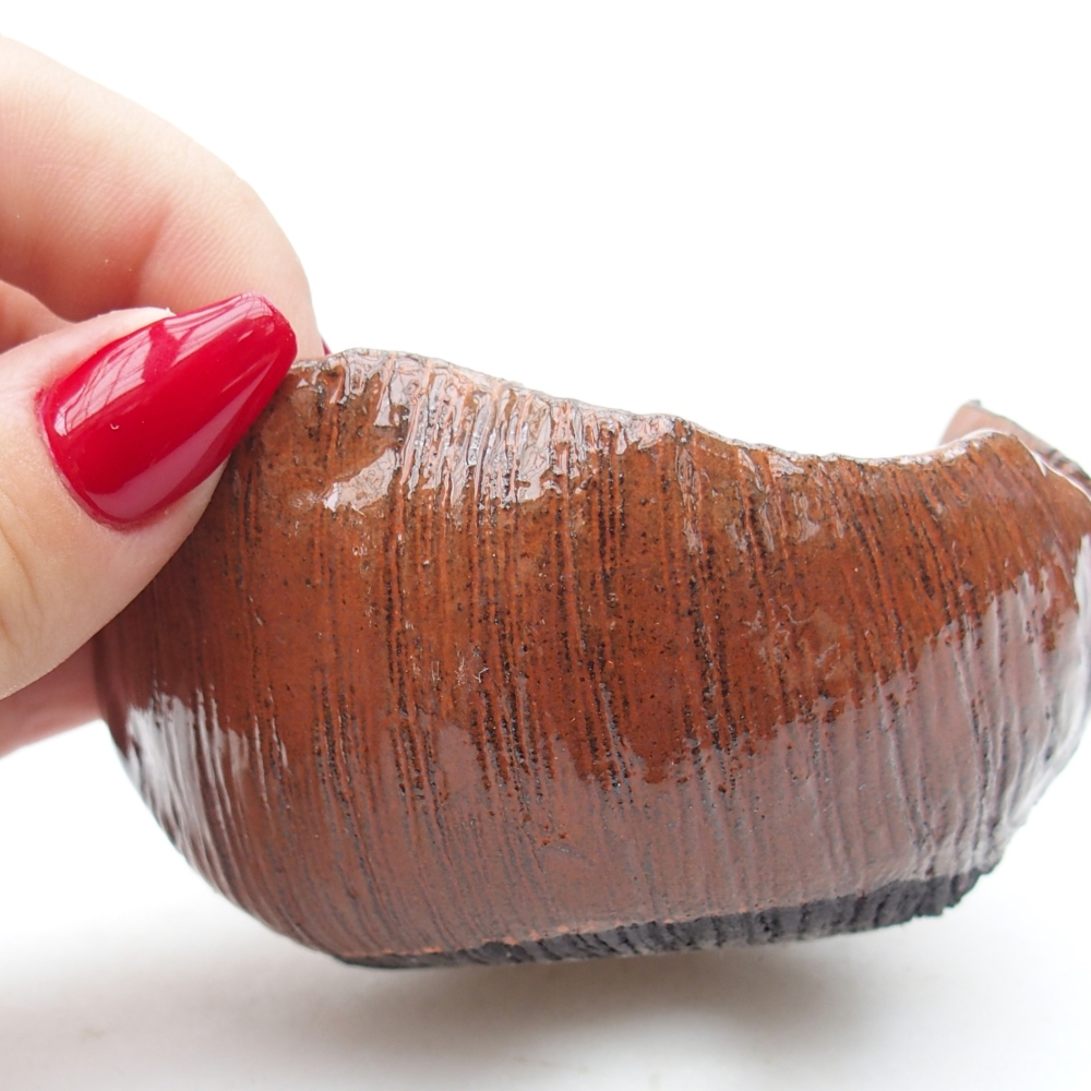 Conchiglia in ceramica 8 x 8 x 5 cm , colore arancione