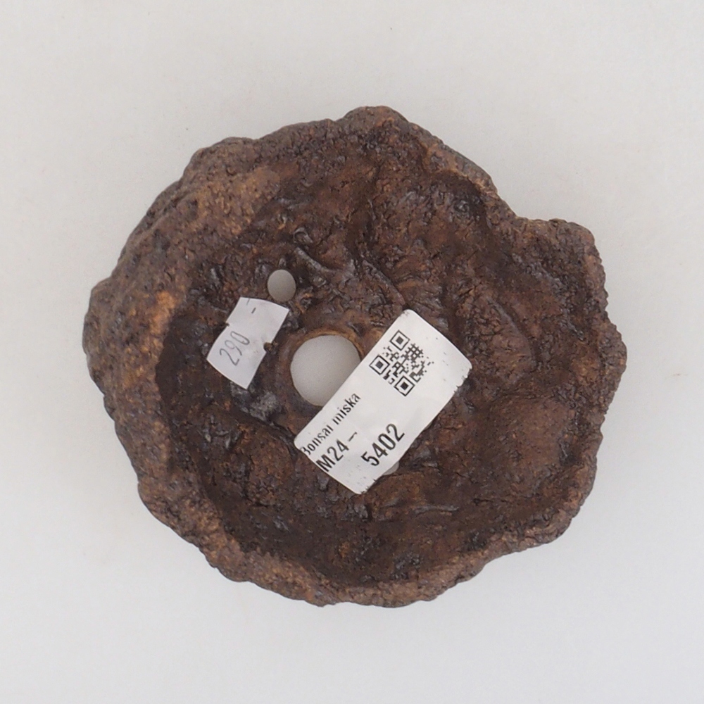 Conchiglia in ceramica 9 x 8 x 9,5 cm , colore marrone