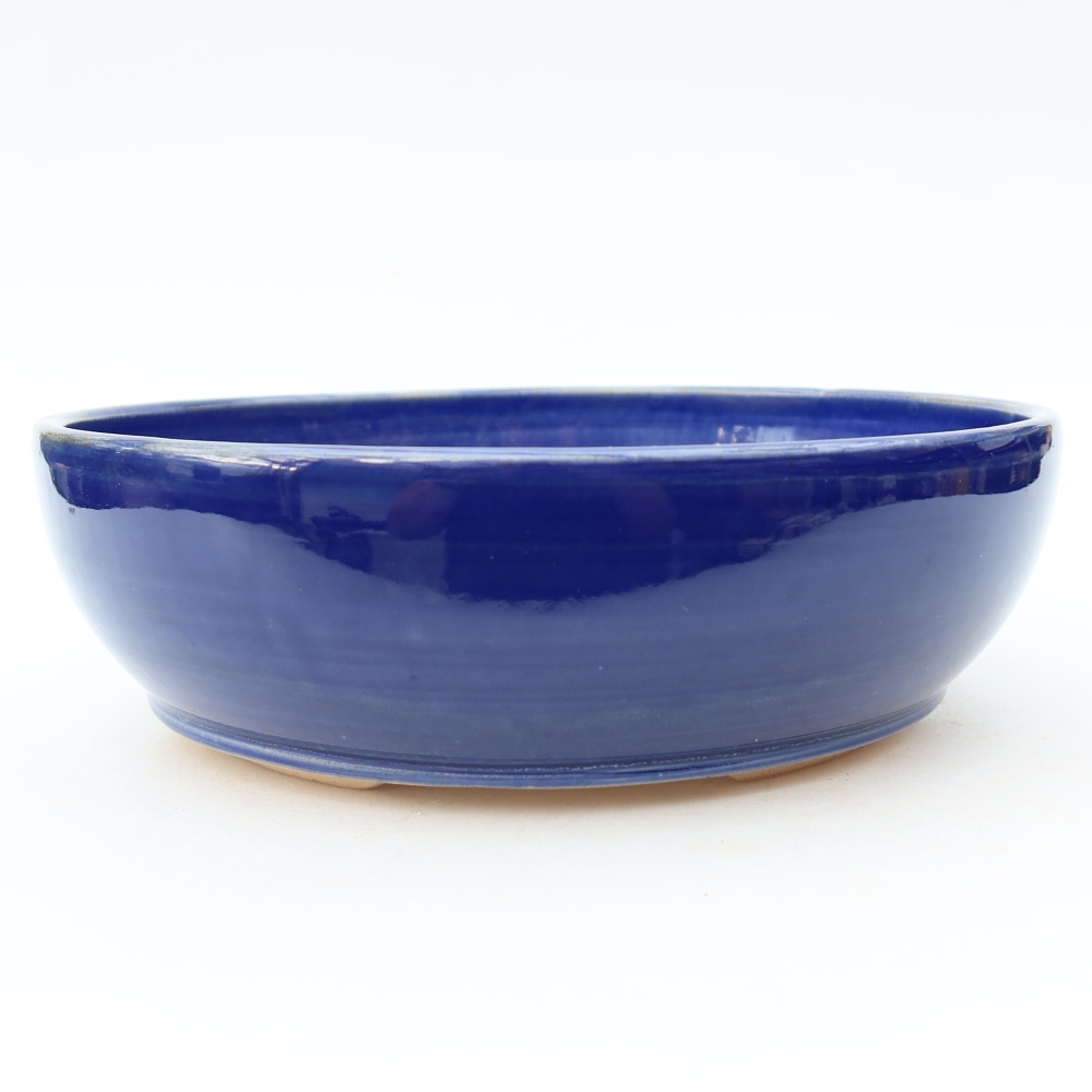 Ciotola bonsai in ceramica 20 x 20 x 6 cm, colore blu