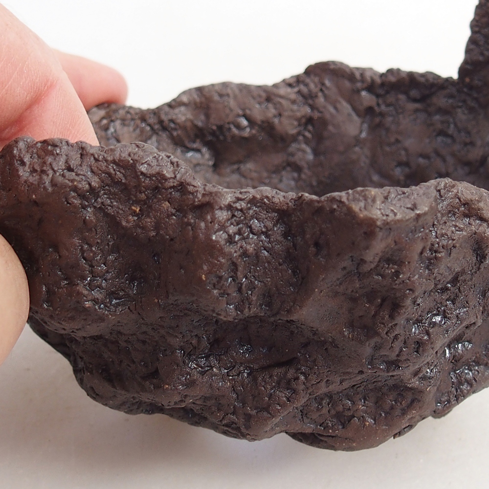 Conchiglia in ceramica 10 x 9 x 7,5 cm , colore marrone