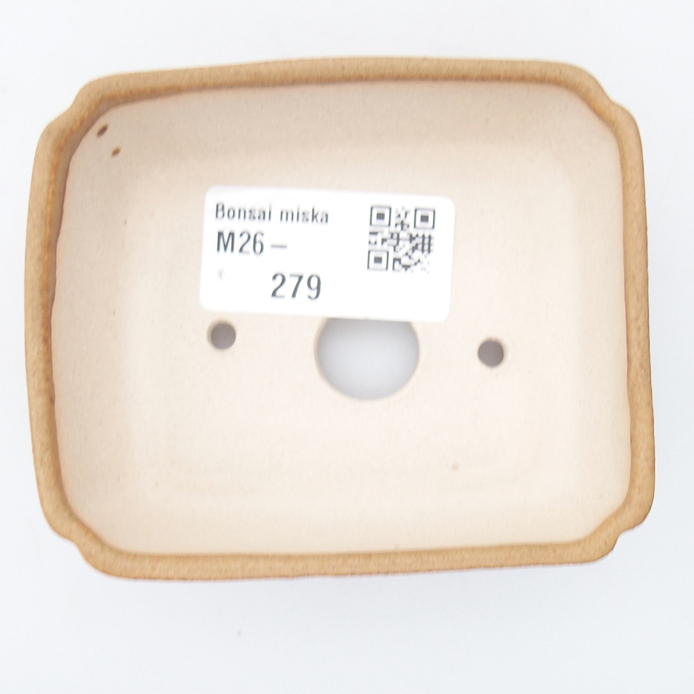 Mini bonsai 8,5 x 7,5 x 3 cm, marrone