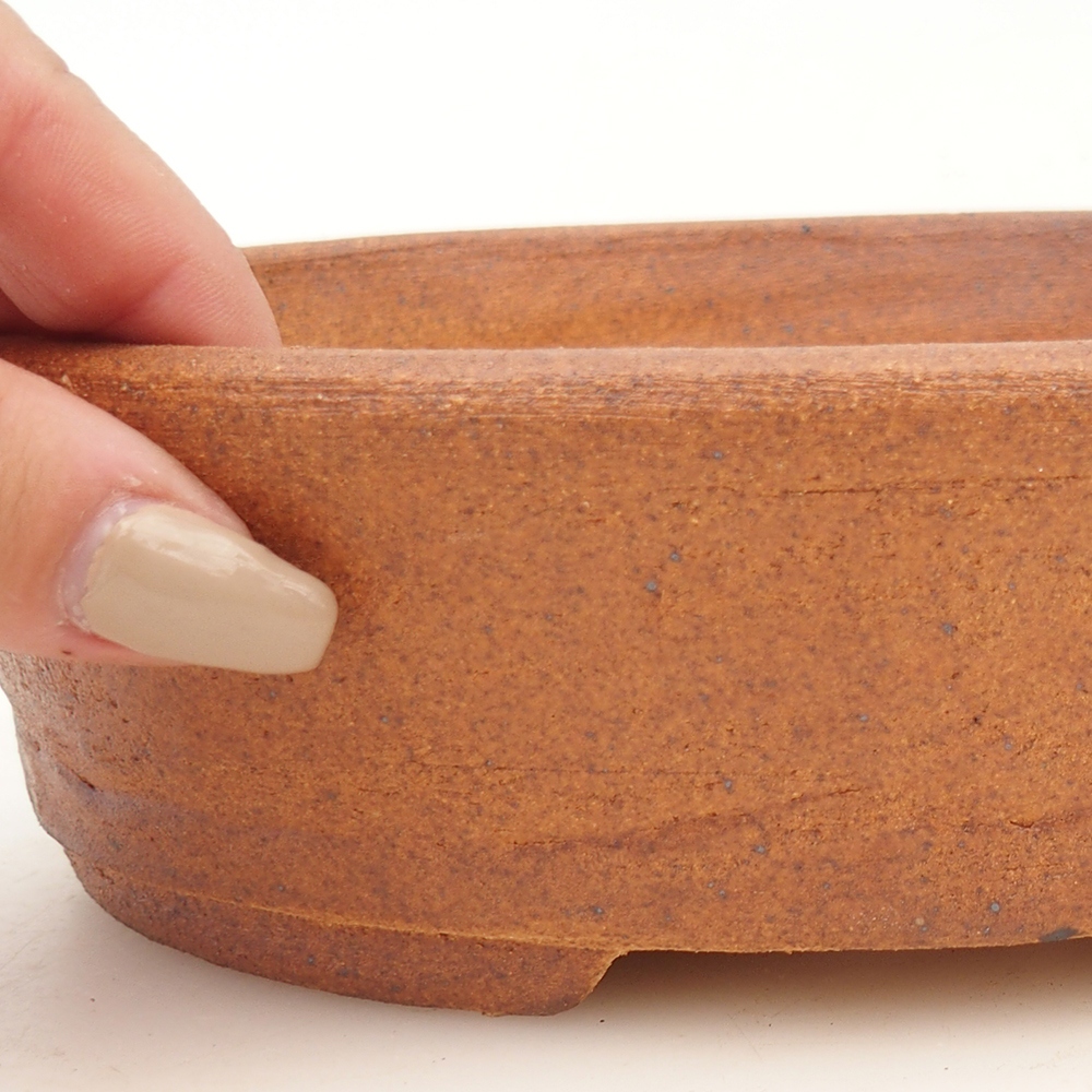 Ciotola per bonsai 20 x 16 x 5,5 cm , colore marrone