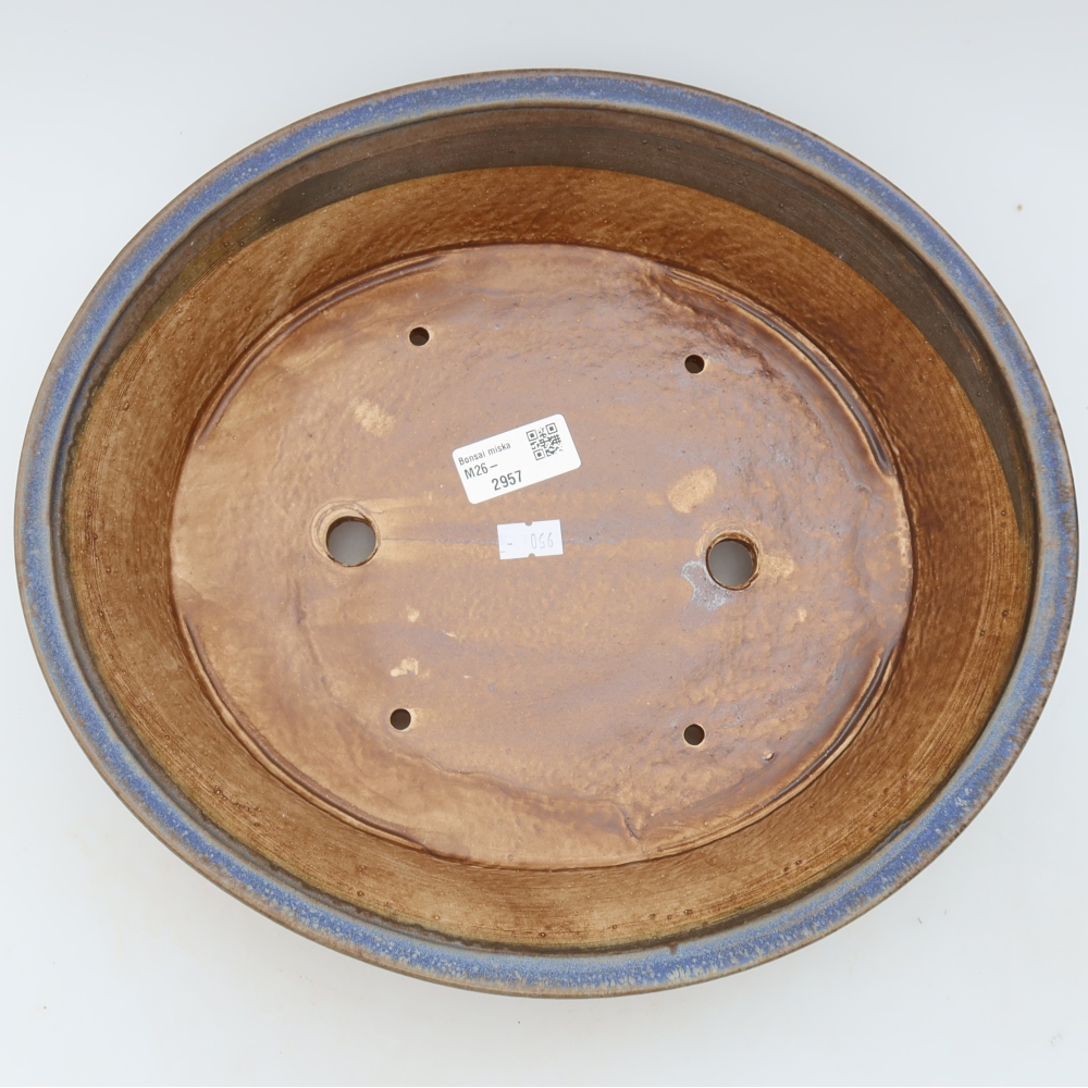 Ciotola bonsai in ceramica 26,5 x 24 x 5,5 cm, colore blu
