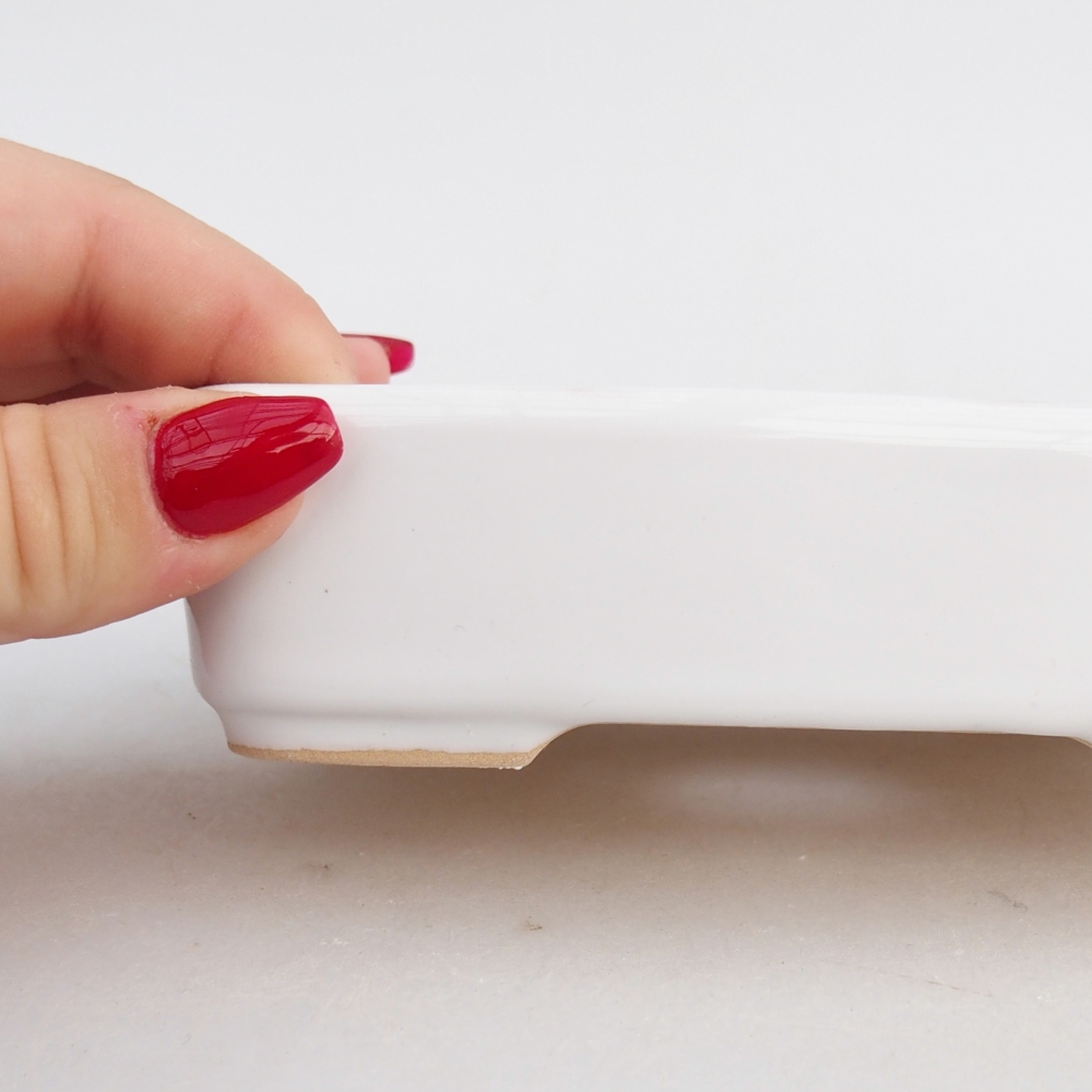 Ciotola bonsai in ceramica 26 x 26 x 8 cm, colore rosso