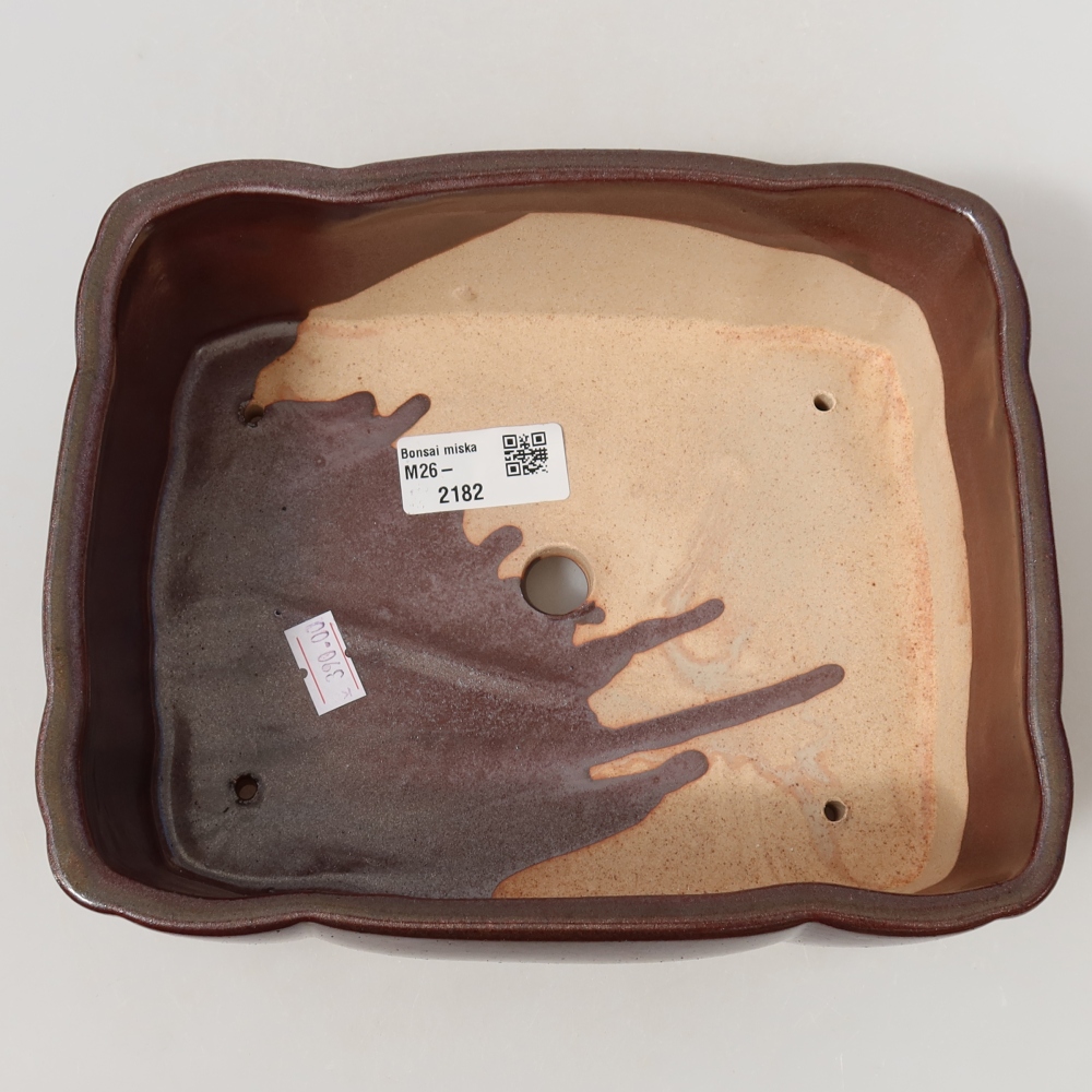 Ciotola per bonsai in ceramica 20,5 x 17,5 x 7 cm, marrone