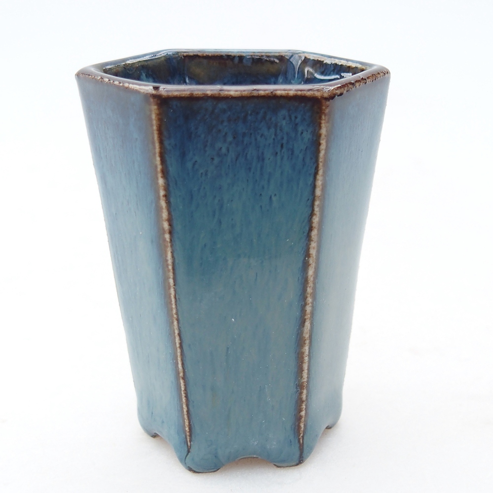 Mini bonsai 4 x 3,5 x 5,5 cm, colore blu