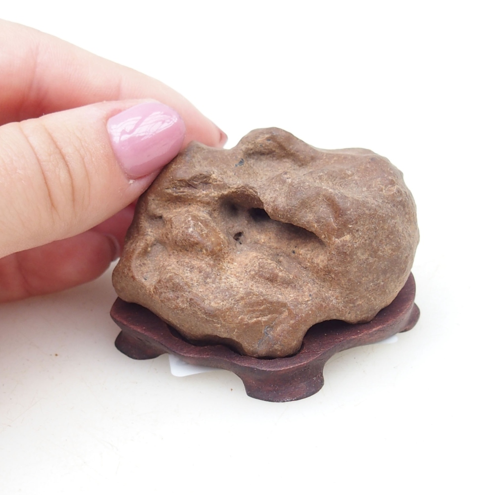 Suiseki - Pietra con DAI (base in legno)