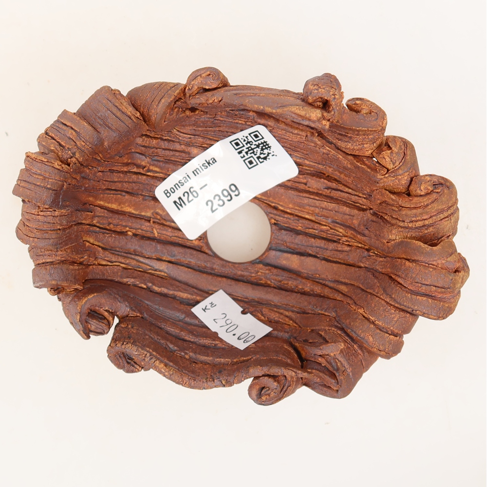 Guscio in ceramica  11,5 x 8,5 x 6,5 cm, colore marrone