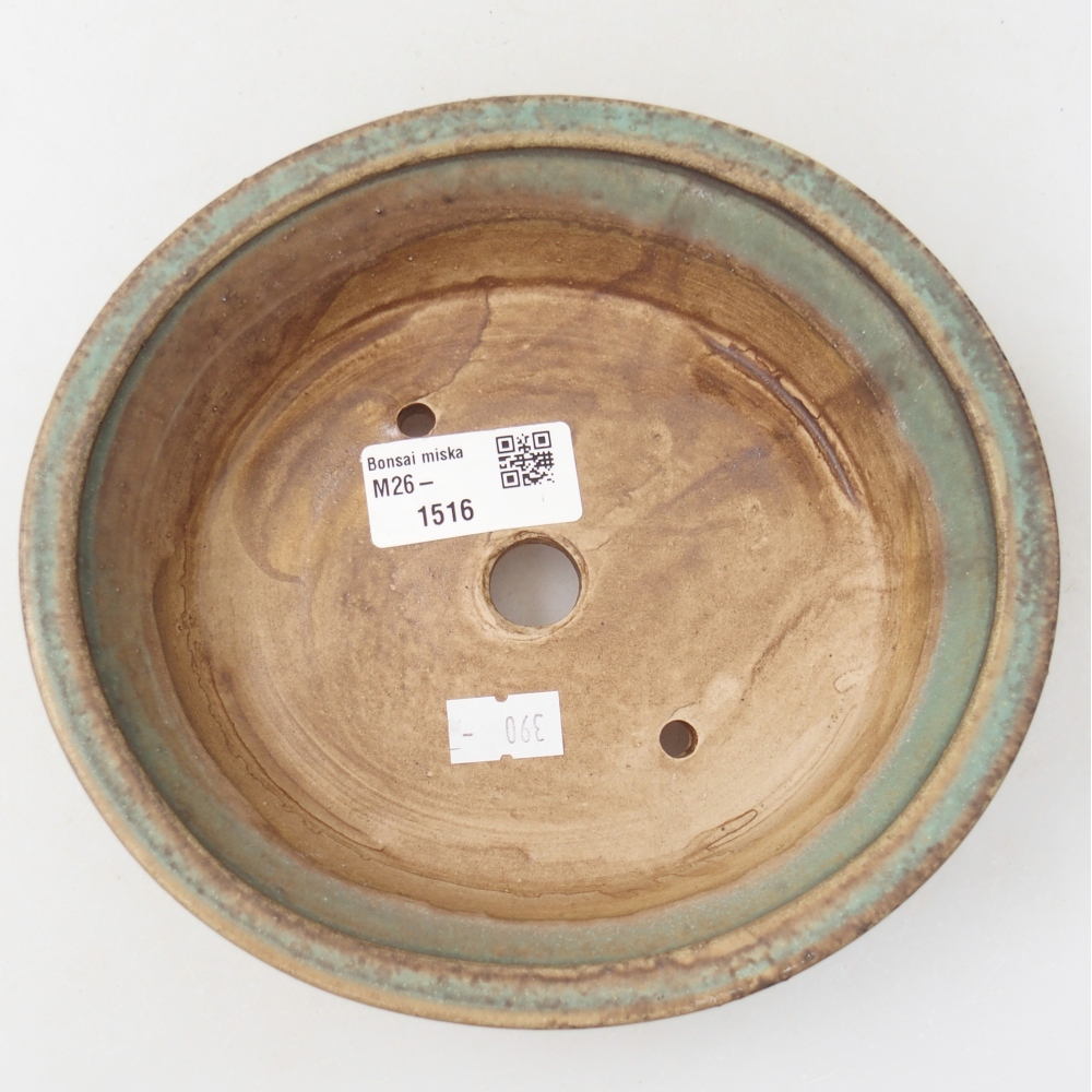 Ciotola per bonsai in ceramica 17,5 x 16 x 4,5 cm, annaffiata a colori