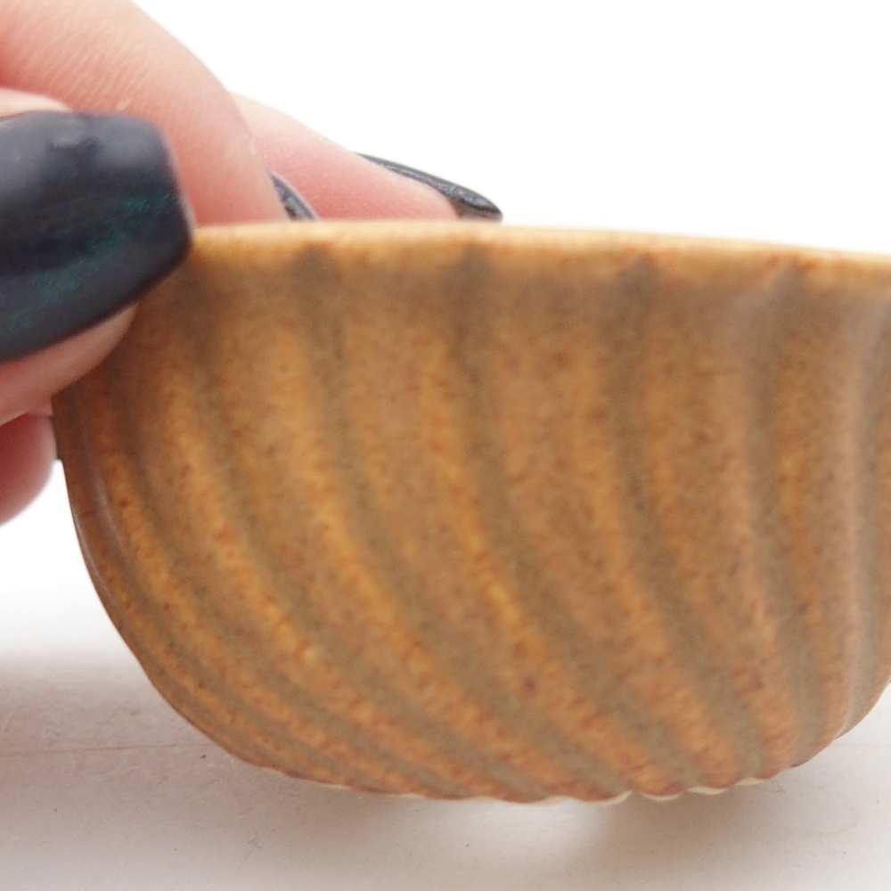 Ciotola per mini bonsai 5,5 x 5,5 x 3 cm, marrone