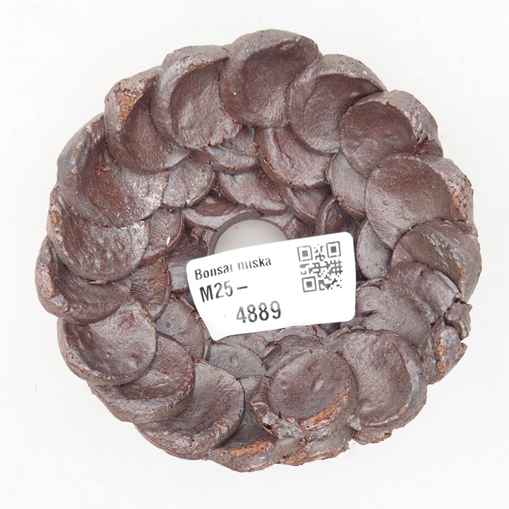 Conchiglia in ceramica 9 x 9 x 4 cm , colore marrone