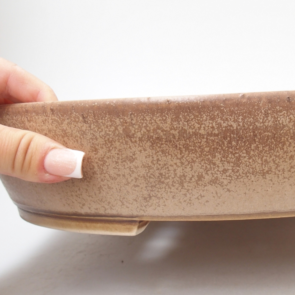 Ciotola per bonsai in ceramica 31,5 x 27,5 x 6 cm, colore beige