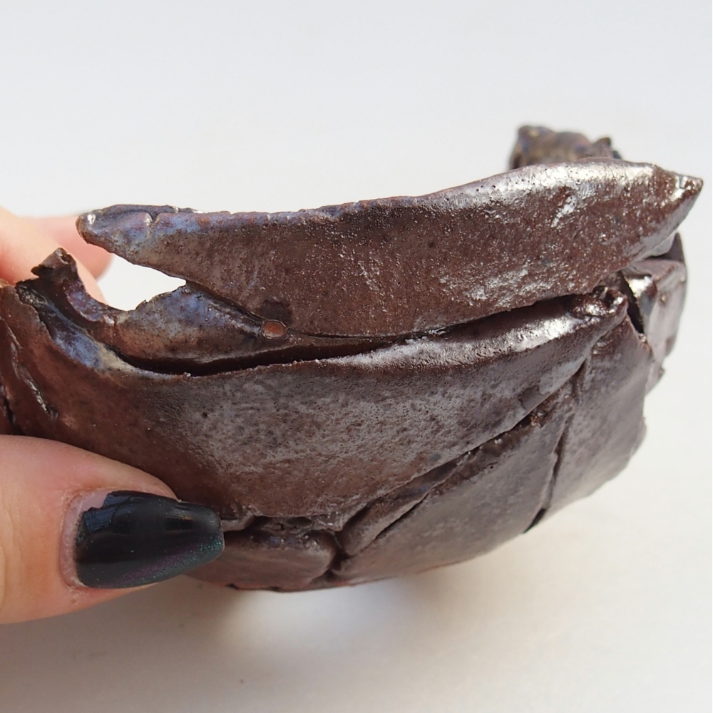 Conchiglia in ceramica 10 x 10 x 6 cm , colore marrone